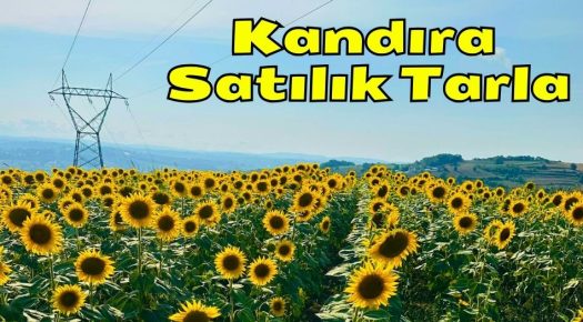 Kocaeli Kandıra Bozburun Mahallesi Satılık Tarla & Arsa